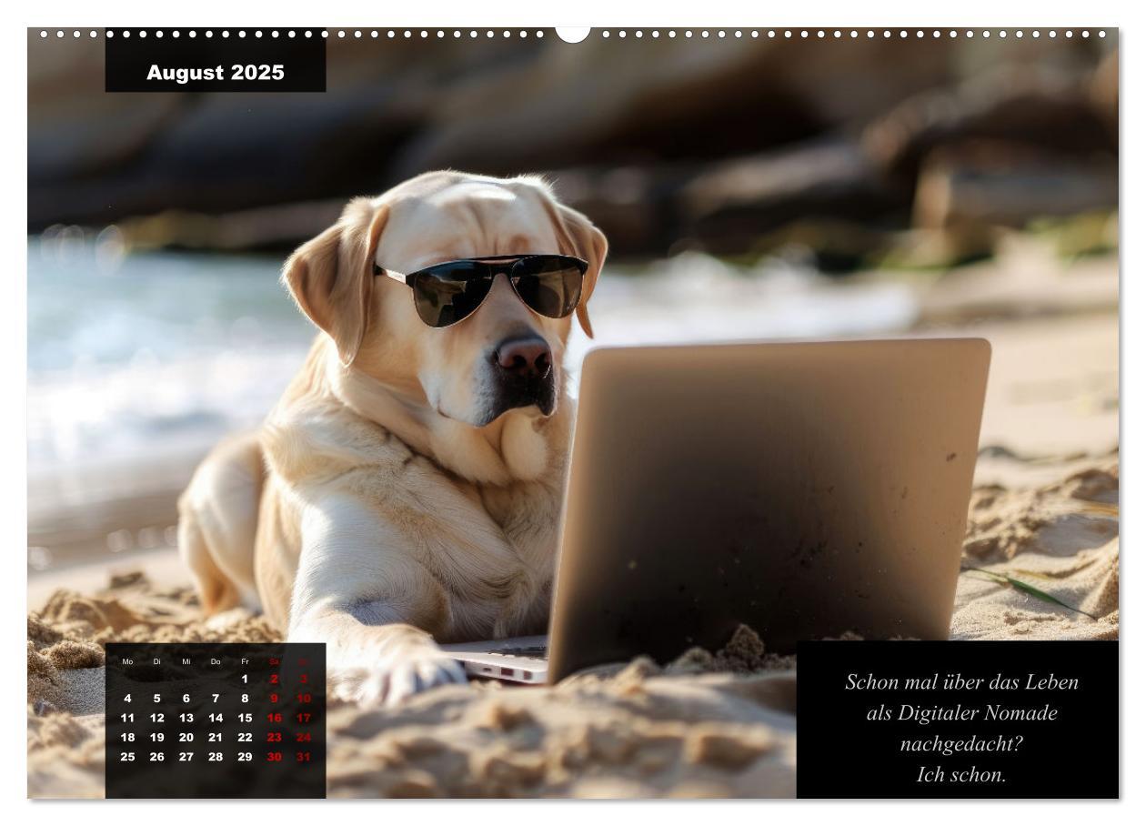 Bild: 9783435367535 | Der witzige Labrador-Kalender (Wandkalender 2025 DIN A2 quer),...