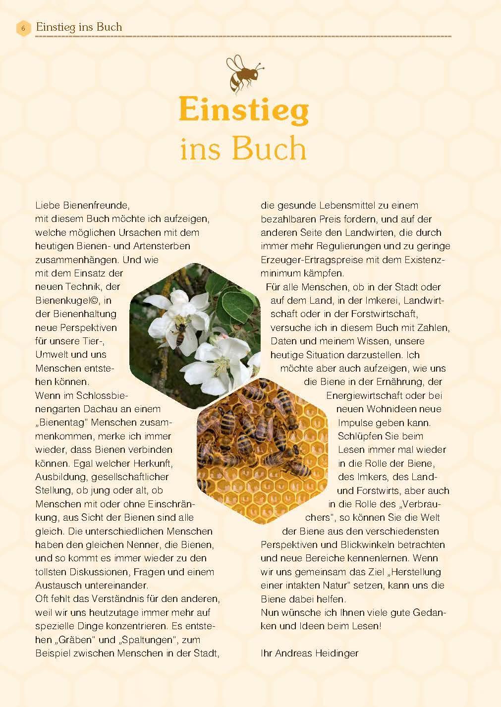 Bild: 9783955877989 | Mit Bienen die Welt retten | Andreas Heidinger | Taschenbuch | 160 S.