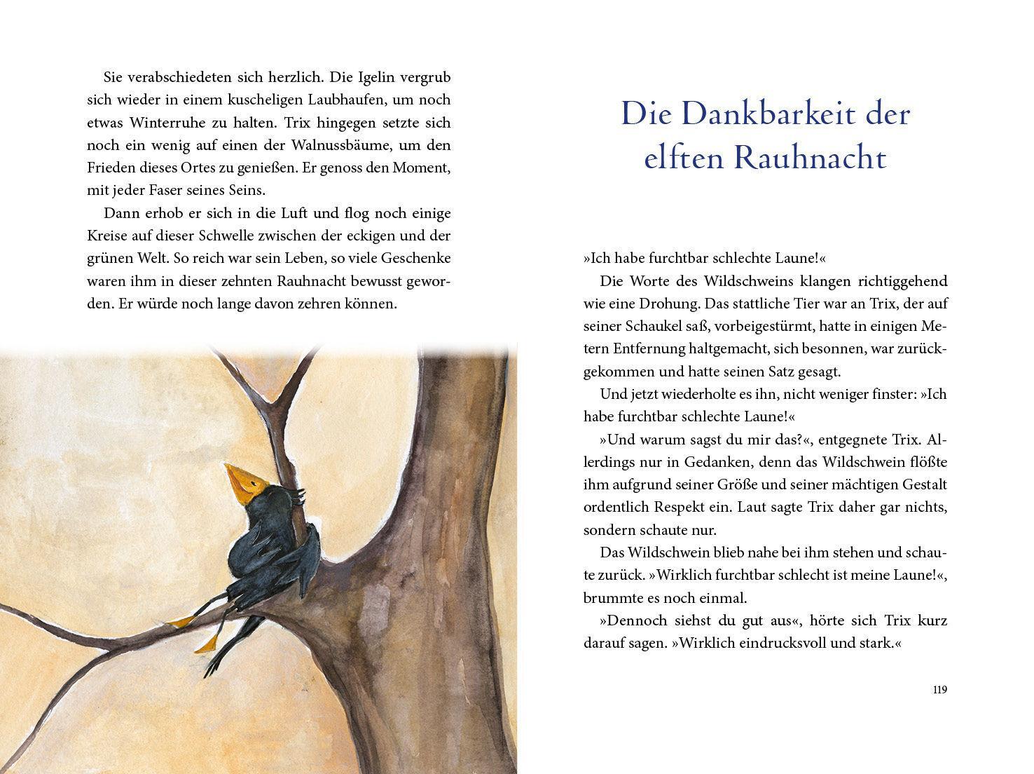 Bild: 9783424154184 | Die magische Reise des Rauhnächte-Raben Trix | Buch | Lesebändchen