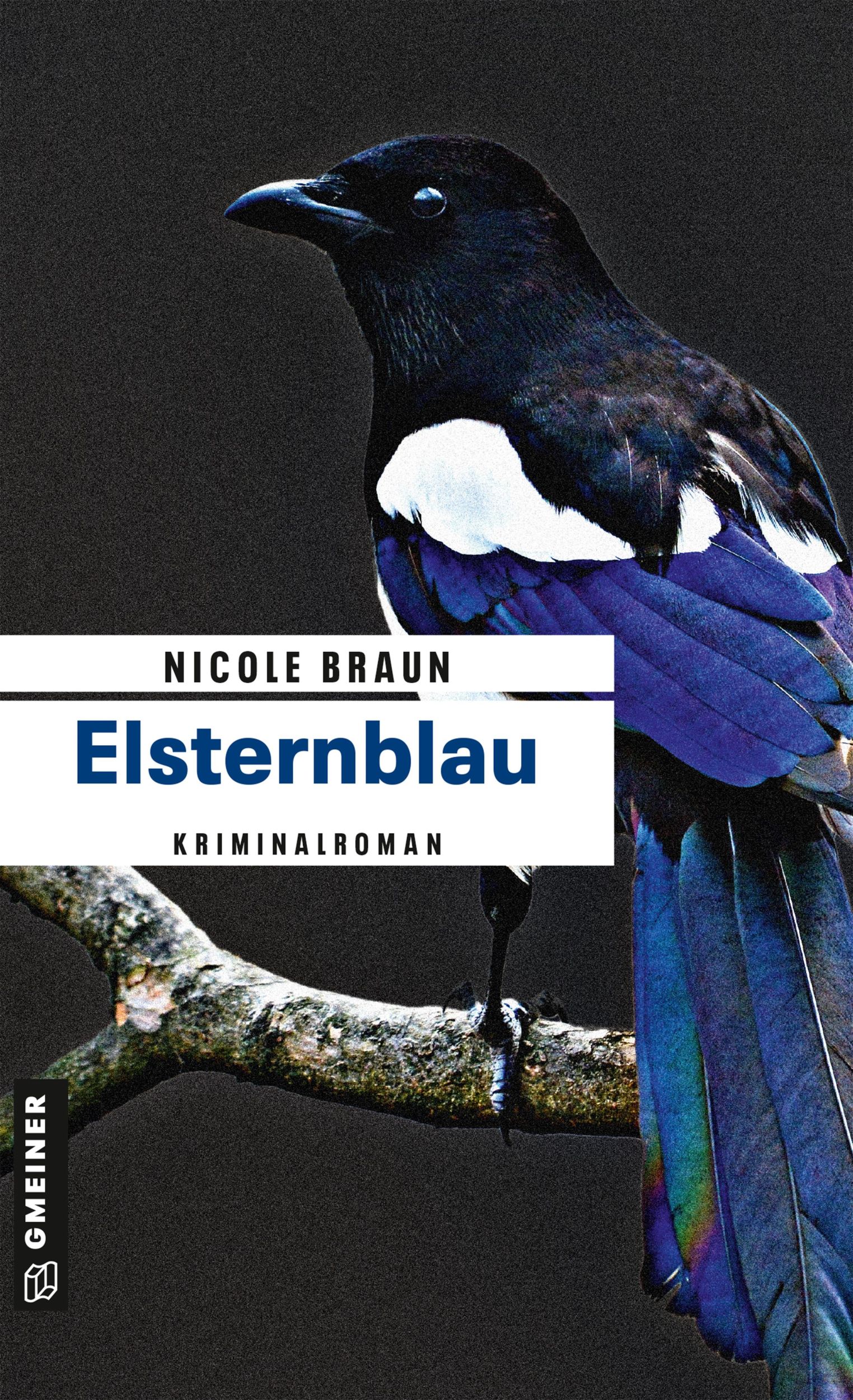 Cover: 9783839220238 | Elsternblau | Der zweite Fall für Edgar Brix | Nicole Braun | Buch