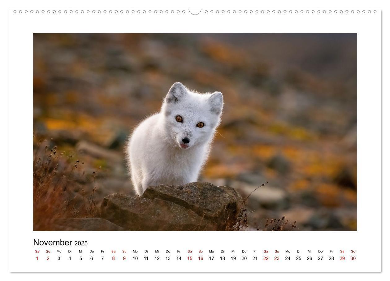 Bild: 9783383885167 | Spitzbergen und der Polarkreis (hochwertiger Premium Wandkalender...