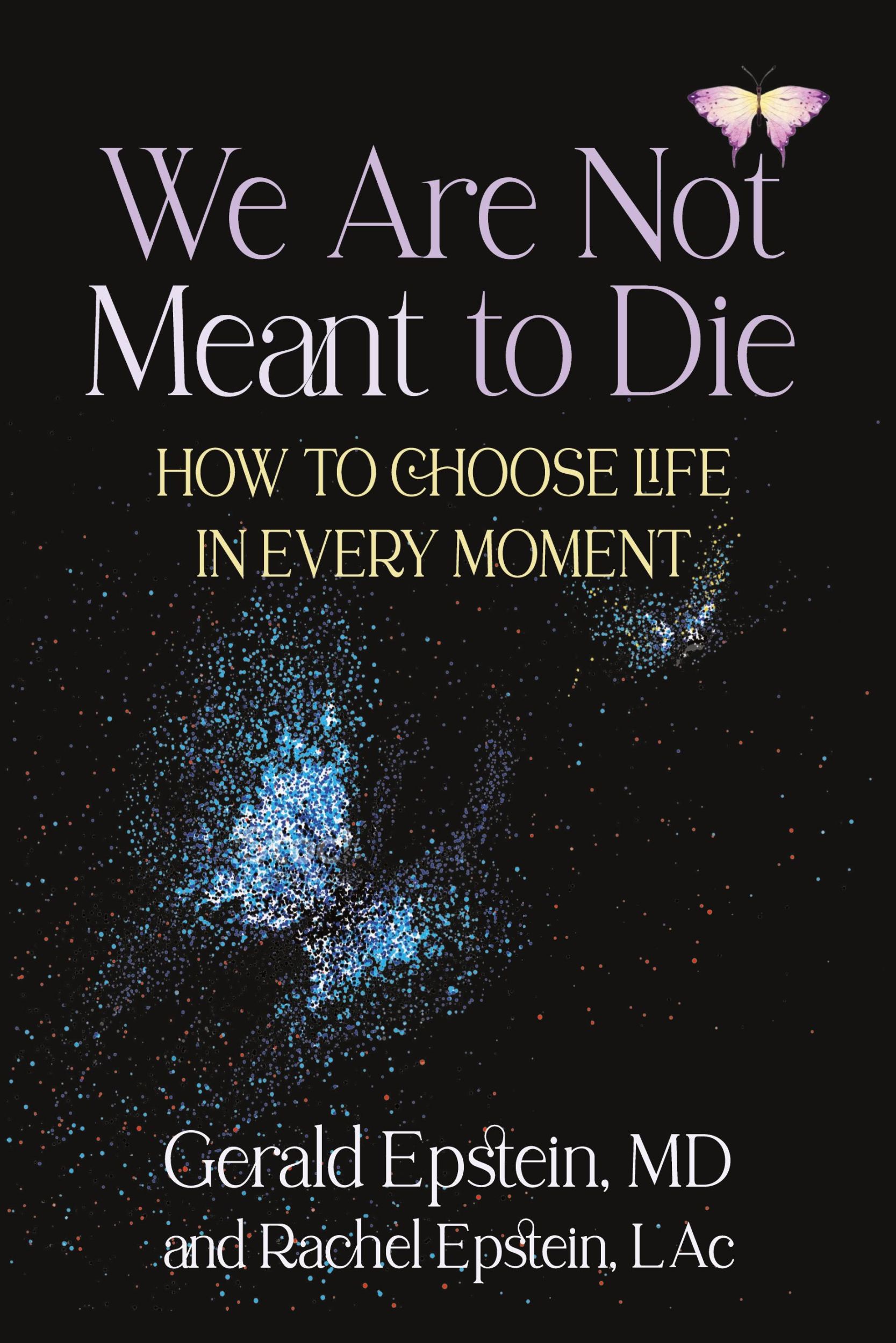 Cover: 9781883148300 | We Are Not Meant to Die | How to Choose Life in Every Moment | Buch