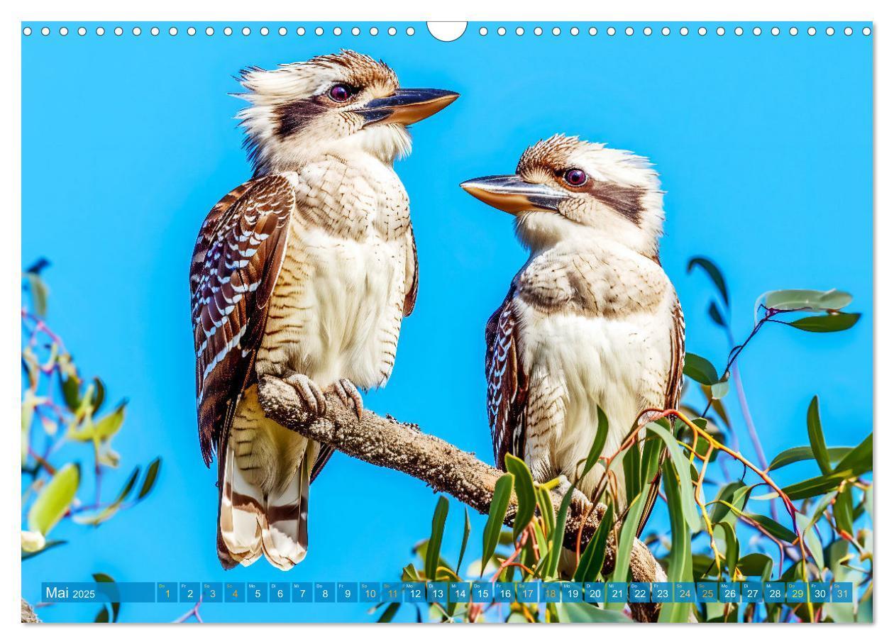 Bild: 9783383777899 | Der Kookaburra - Im australischen Busch mit dem lachenden Hans...