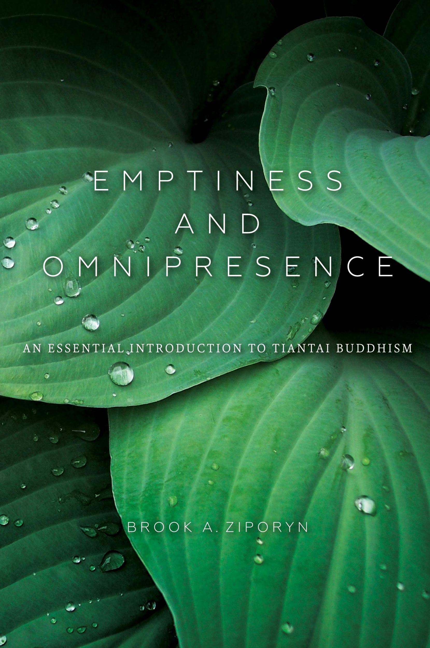 Cover: 9780253021120 | Emptiness and Omnipresence | Brook A Ziporyn | Taschenbuch | Englisch