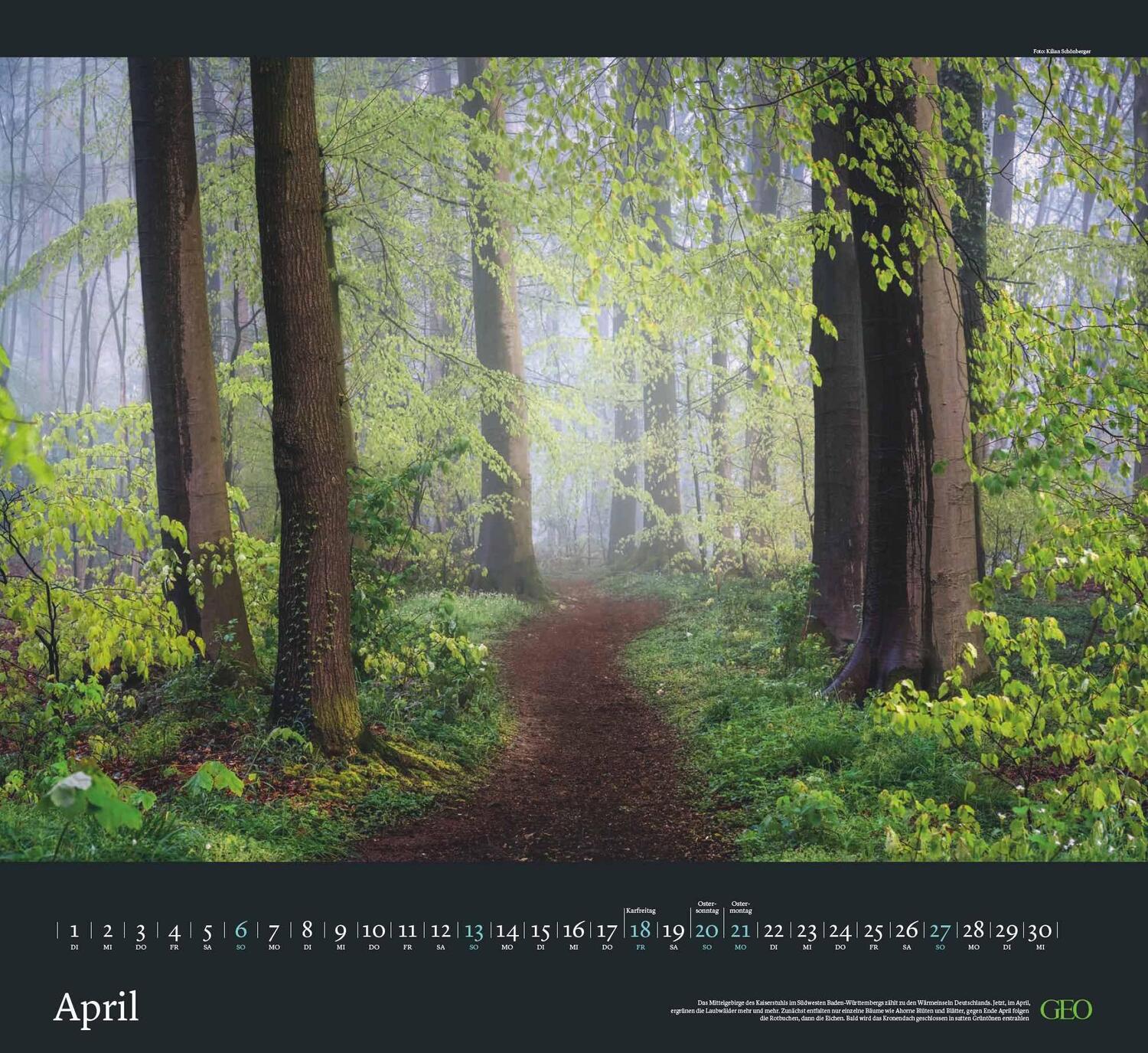 Bild: 4002725988683 | GEO Kalender: Sehnsucht Wald 2025 - Wand-Kalender - Natur-Kalender...