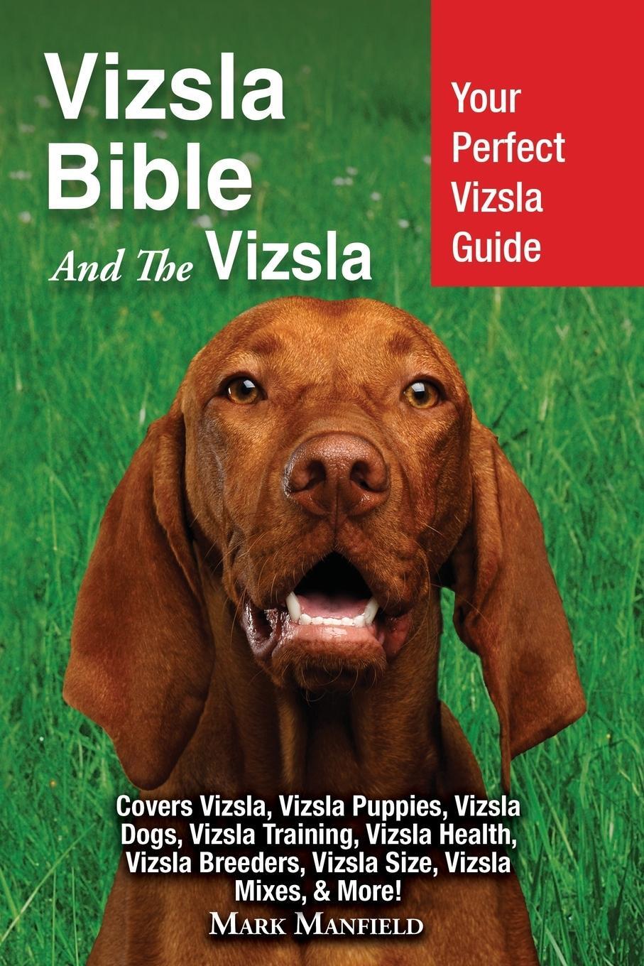 Cover: 9781911355618 | Vizsla Bible And the Vizsla | Mark Manfield | Taschenbuch | Paperback