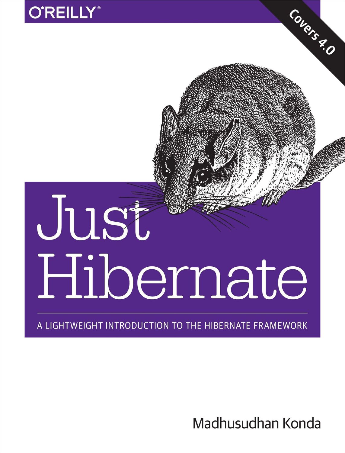 Cover: 9781449334376 | Just Hibernate | A Lightweight Introduction to the Hibernate Framework