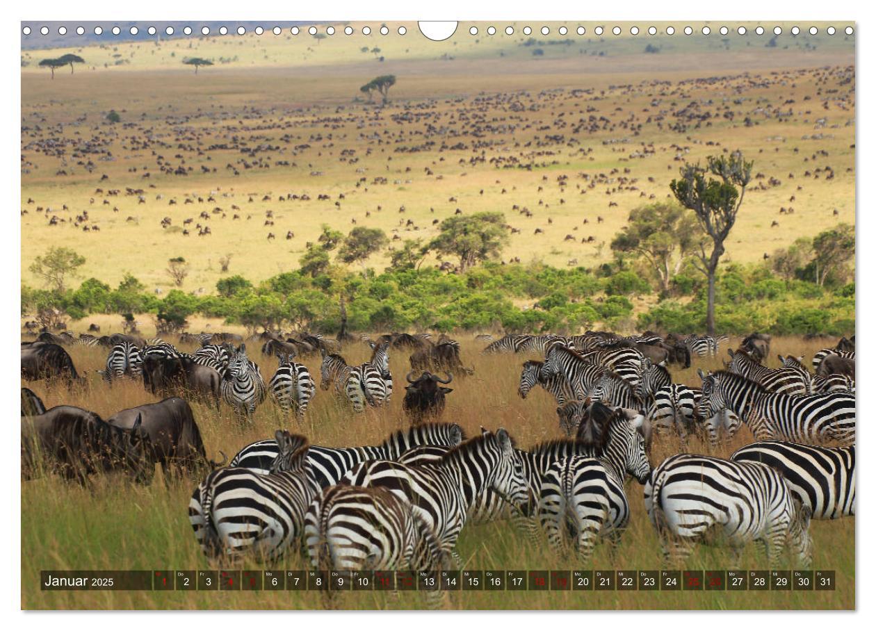 Bild: 9783435250714 | Afrika - Zauber der Wildnis (Wandkalender 2025 DIN A3 quer),...