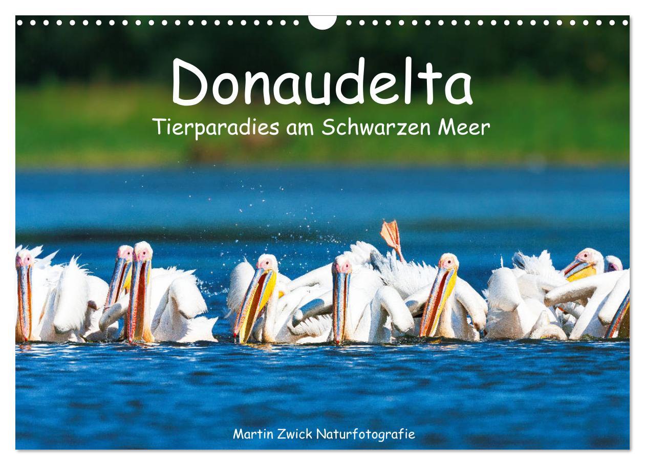 Cover: 9783435116911 | Donaudelta - Tierparadies am Schwarzen Meer (Wandkalender 2025 DIN...