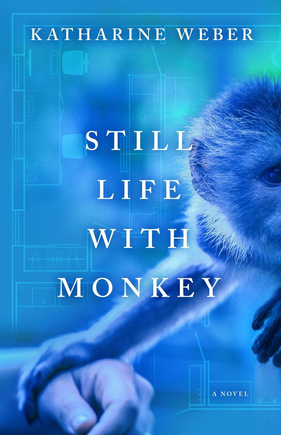 Cover: 9781589881297 | Still Life with Monkey | Katharine Weber | Taschenbuch | Englisch