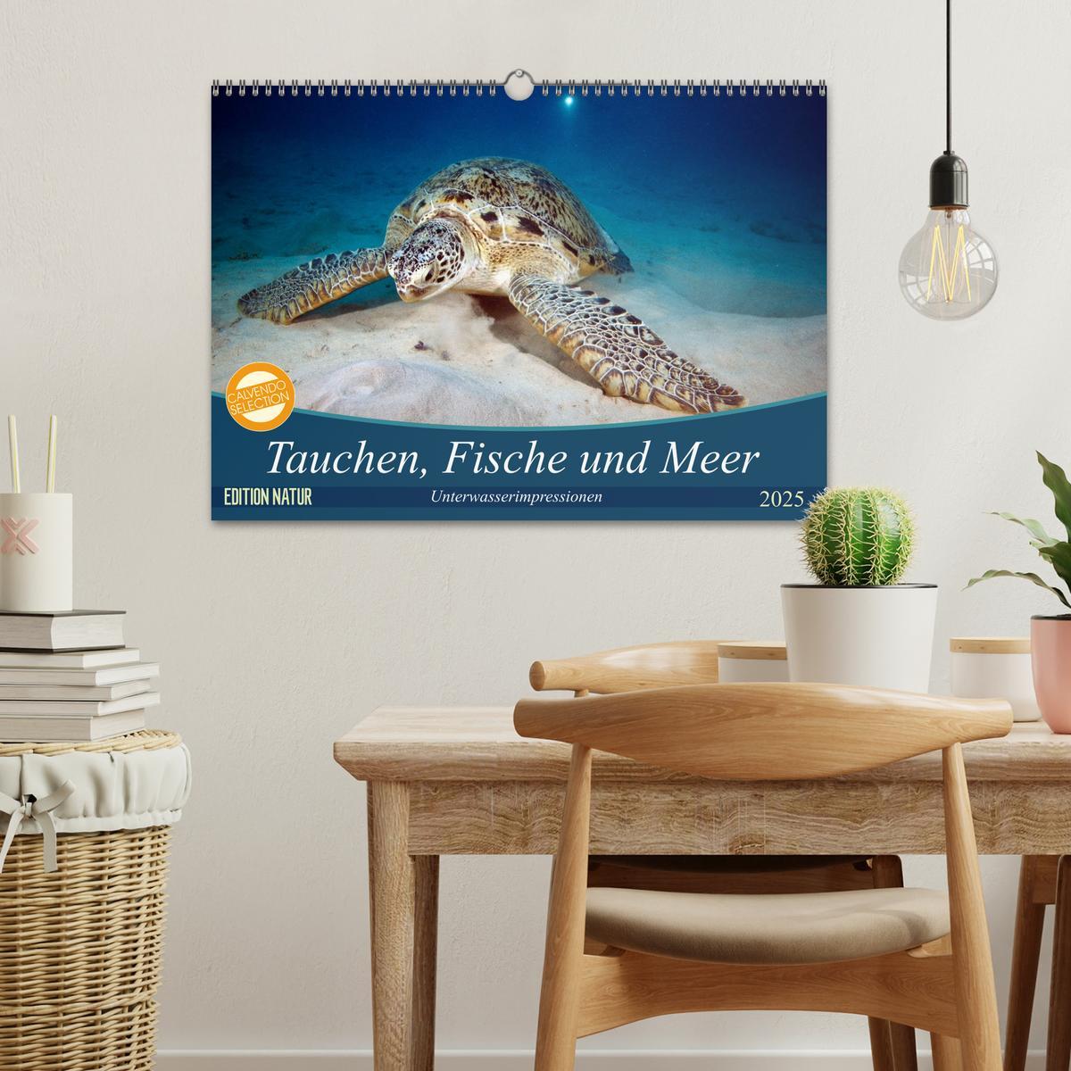 Bild: 9783435410088 | Tauchen, Fische und Meer (Wandkalender 2025 DIN A3 quer), CALVENDO...