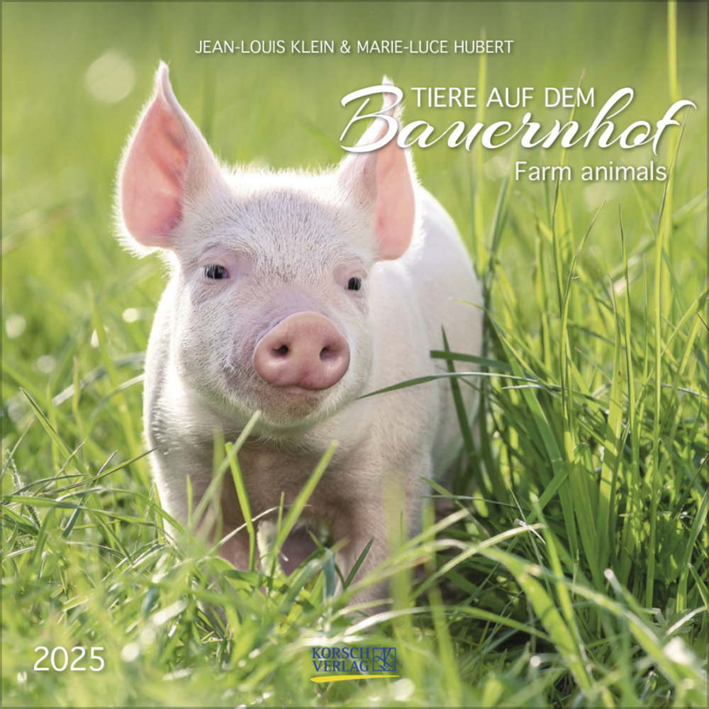 Cover: 9783731876427 | Tiere auf dem Bauernhof 2025 | Korsch Verlag | Kalender | 13 S. | 2025