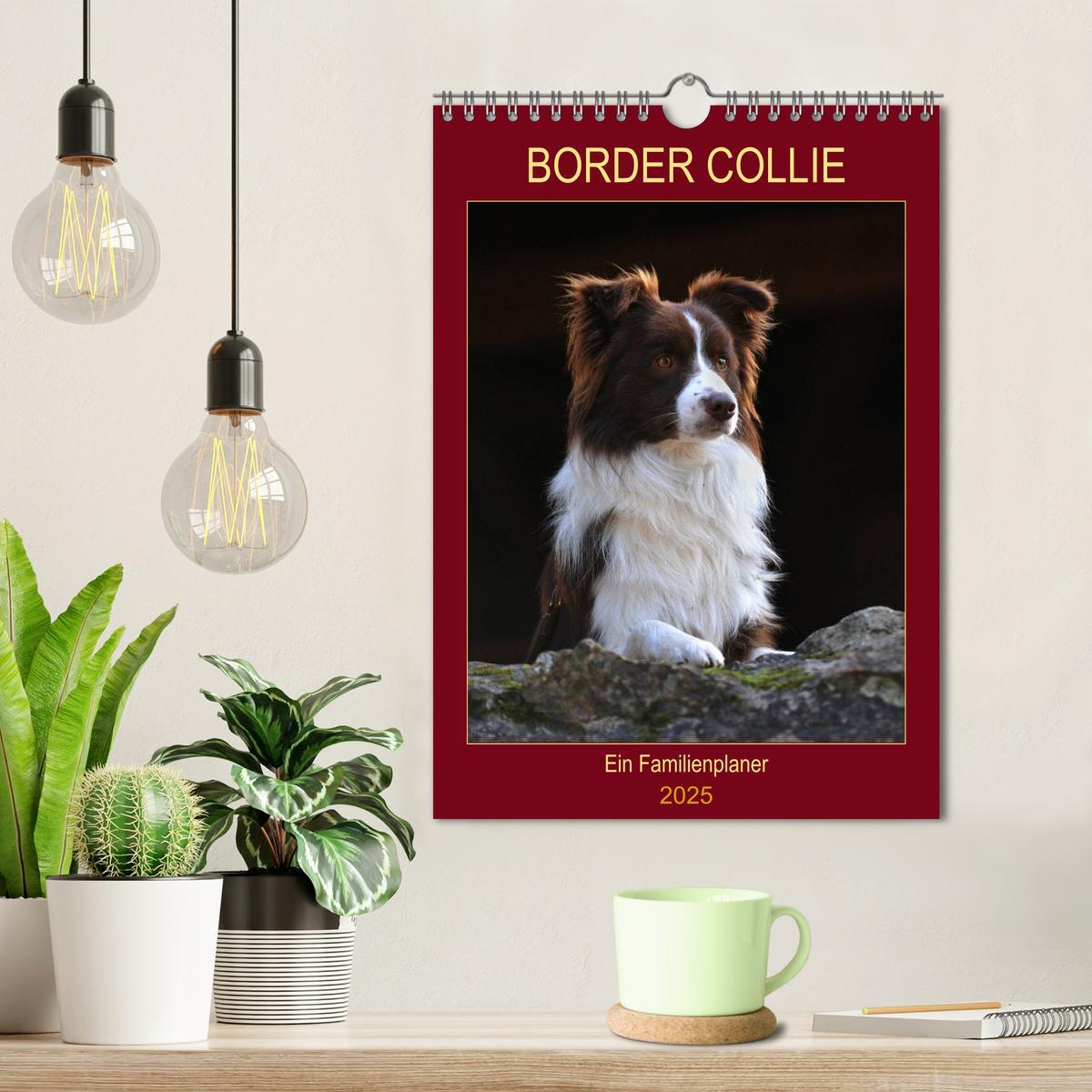 Bild: 9783435959617 | Border Collie - Ein Familienplaner (Wandkalender 2025 DIN A4 hoch),...