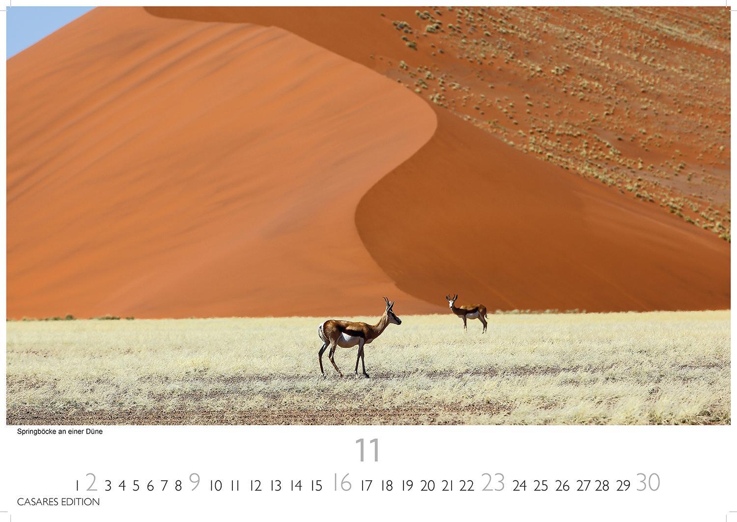 Bild: 9781835240519 | African Wildlife 2025 S 24x35 cm | Kalender | 14 S. | Deutsch | 2025