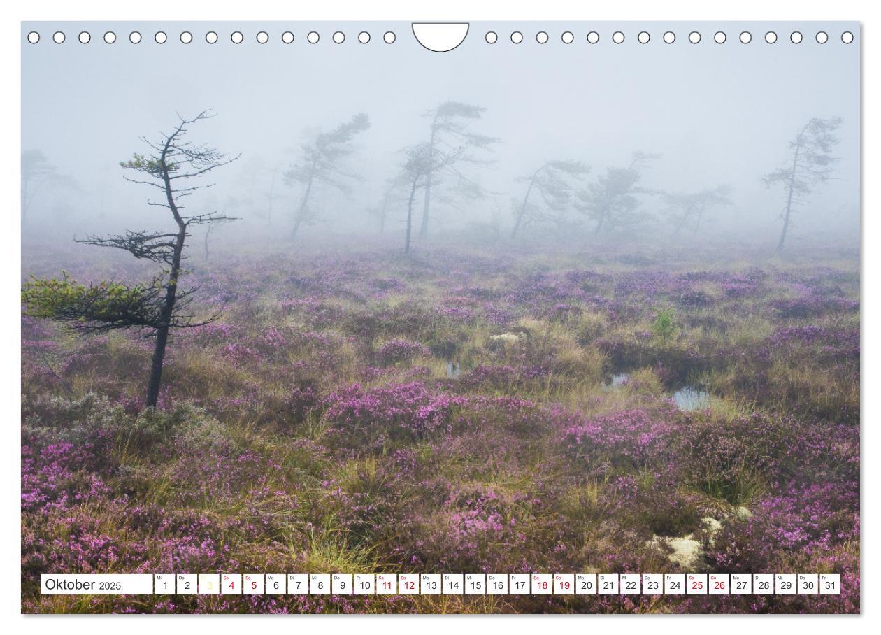 Bild: 9783383955235 | Naturschönheiten im Biosphärerenreservat Rhön (Wandkalender 2025...