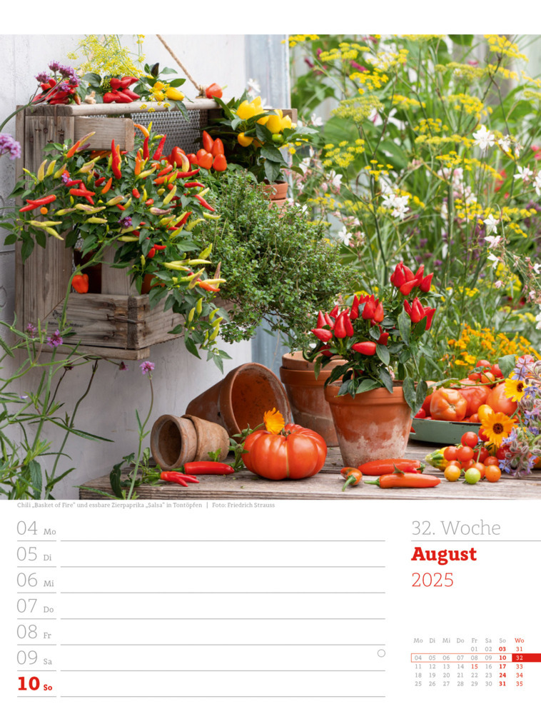 Bild: 9783838425993 | Gartenglück - Wochenplaner Kalender 2025 | Ackermann Kunstverlag