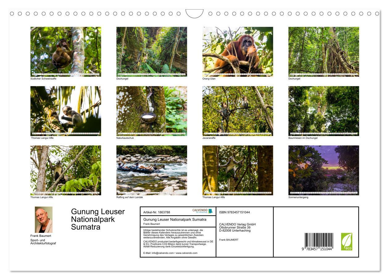 Bild: 9783457151044 | Gunung Leuser Nationalpark Sumatra (Wandkalender 2025 DIN A3 quer),...