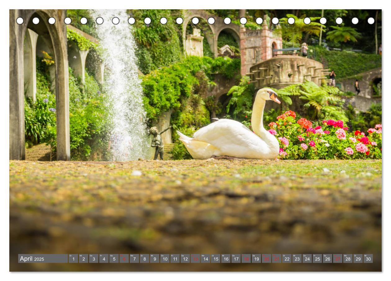 Bild: 9783435221905 | Madeira - Insel der Blumen 2025 (Tischkalender 2025 DIN A5 quer),...