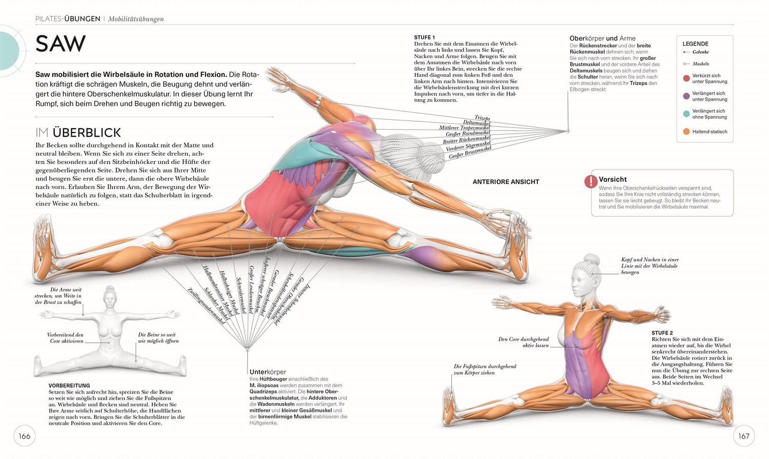 Bild: 9783831046300 | Pilates - Die Anatomie verstehen | Tracy Ward | Taschenbuch | 224 S.