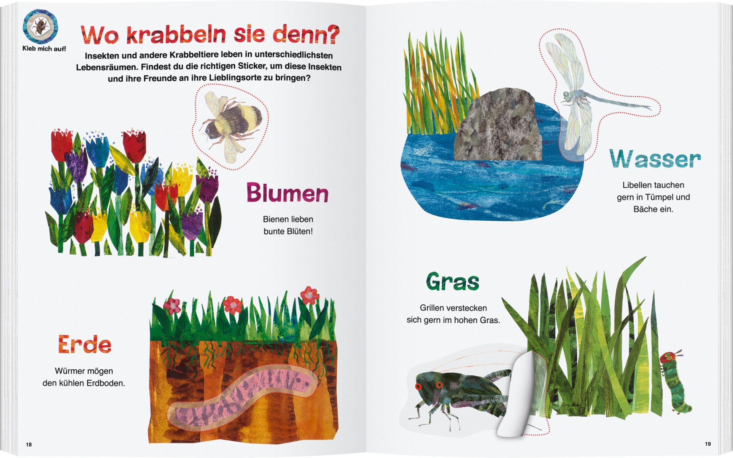 Bild: 9783836961080 | Die kleine Raupe Nimmersatt - Mein Buch der Krabbeltiere | Eric Carle