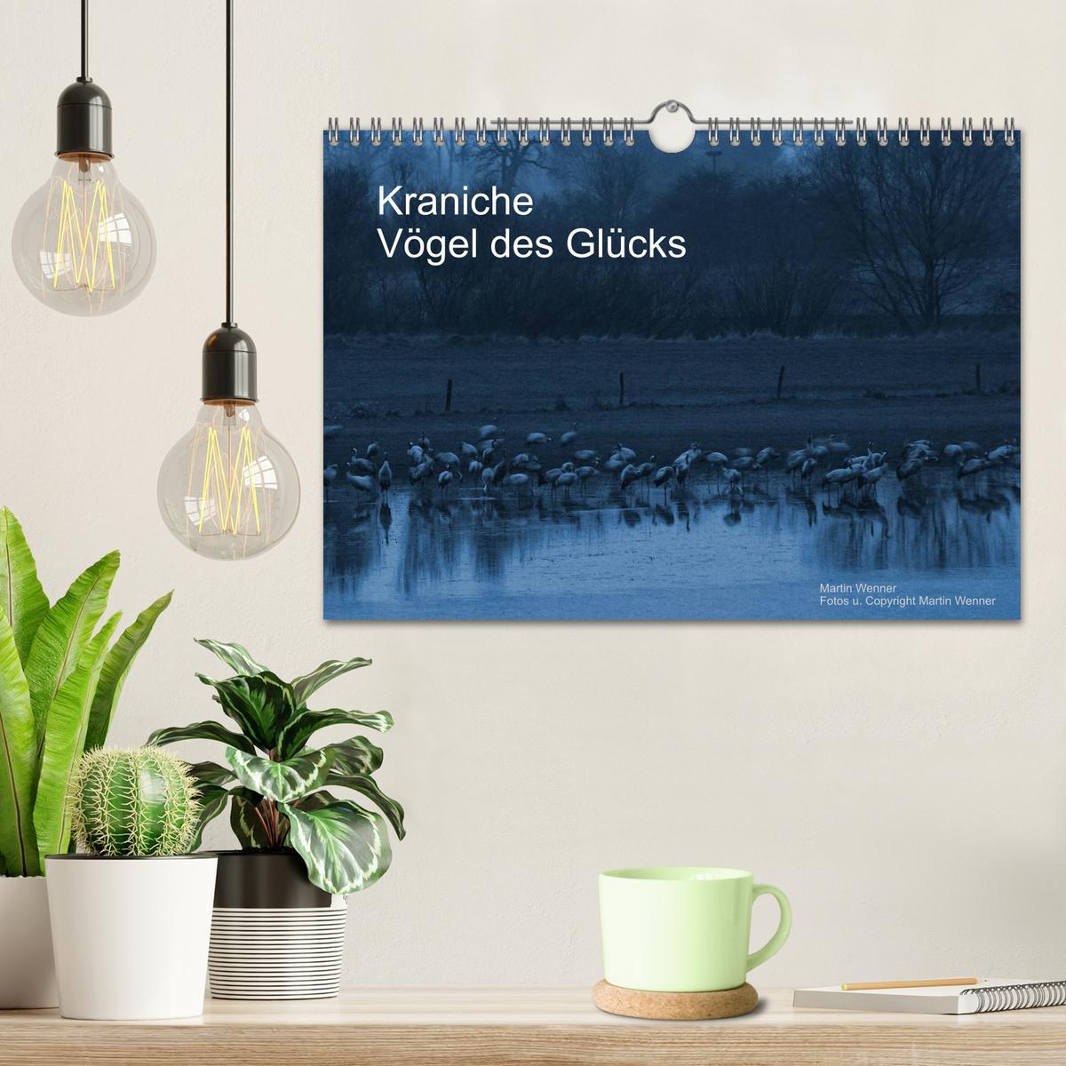 Bild: 9783435837601 | Kraniche (Wandkalender 2025 DIN A4 quer), CALVENDO Monatskalender