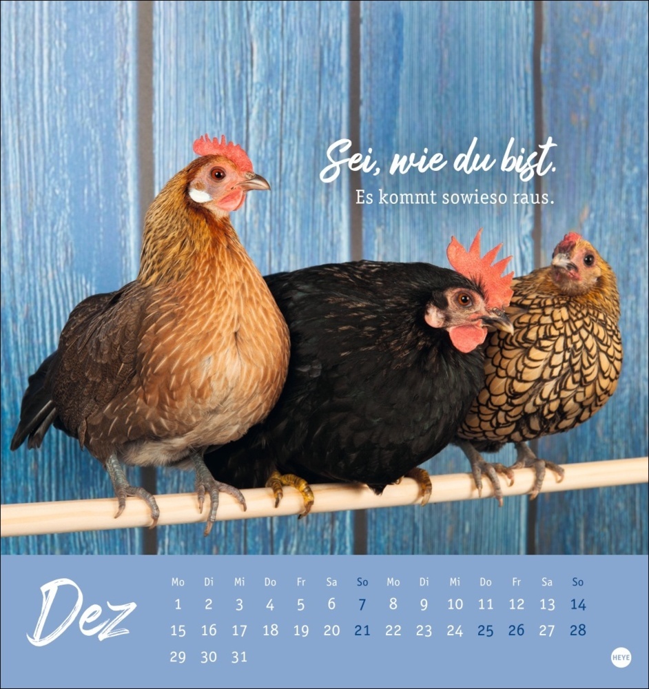 Bild: 9783756408573 | Hühner Postkartenkalender 2025 - Ach, du verrücktes Huhn! | Kalender