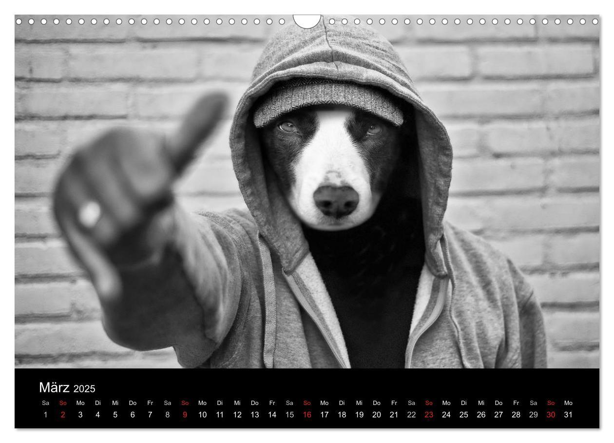 Bild: 9783435781096 | Hütehunde (Wandkalender 2025 DIN A3 quer), CALVENDO Monatskalender