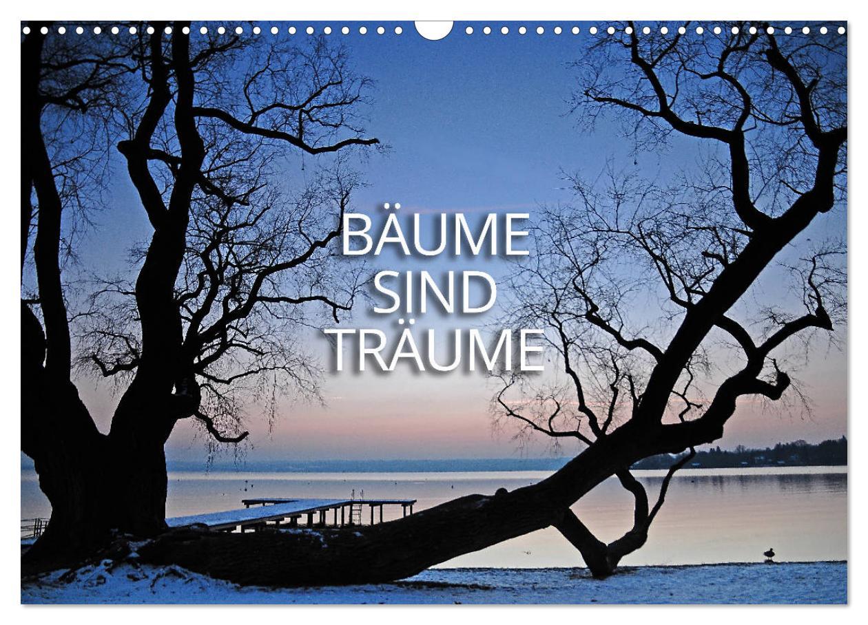 Cover: 9783435775231 | Bäume sind Träume (Wandkalender 2025 DIN A3 quer), CALVENDO...