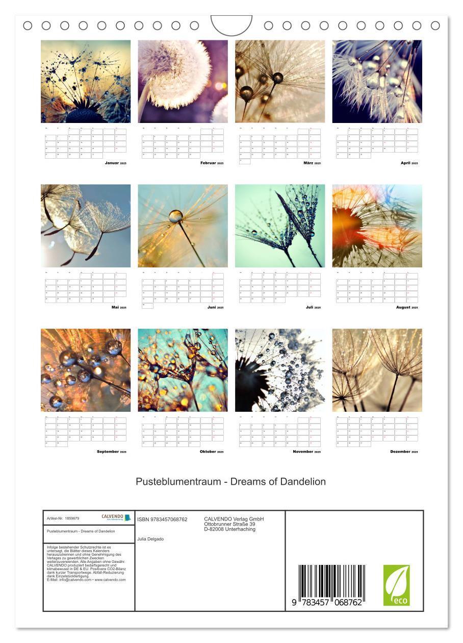 Bild: 9783457068762 | Pusteblumentraum - Dreams of Dandelion (Wandkalender 2025 DIN A4...