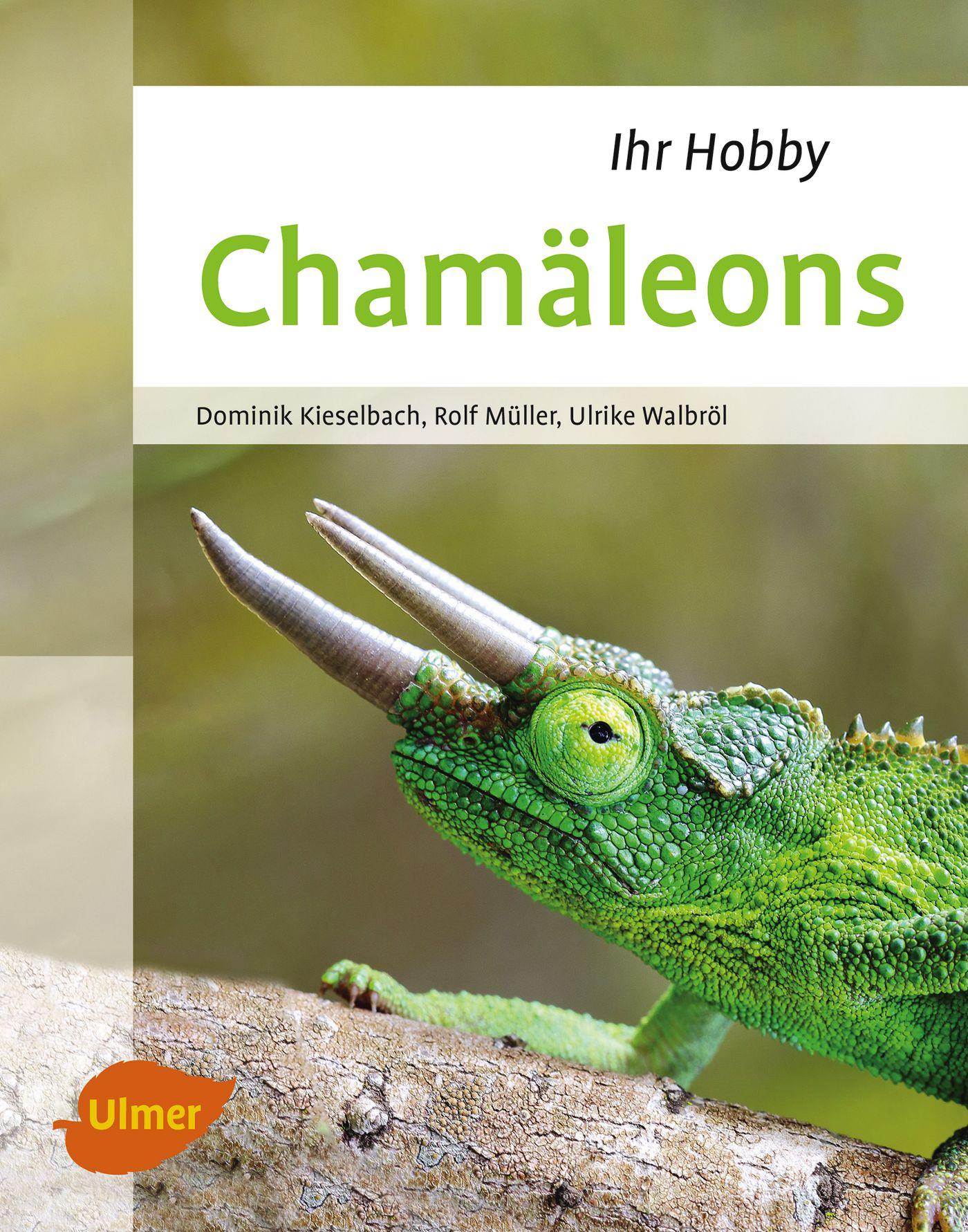 Cover: 9783800103959 | Chamäleons | Dominik Kieselbach (u. a.) | Buch | 96 S. | Deutsch