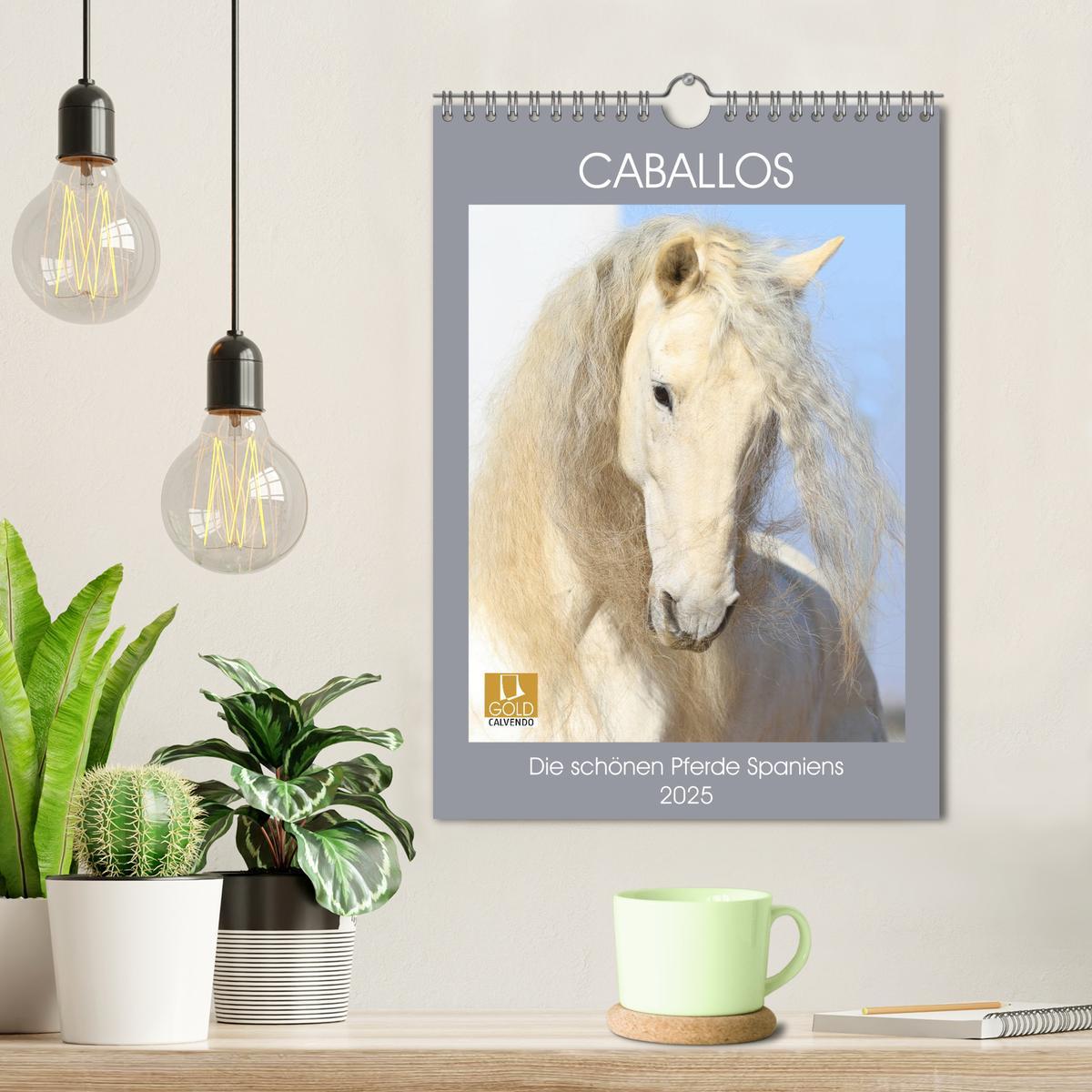 Bild: 9783435987702 | Caballos - Die schönen Pferde Spaniens (Wandkalender 2025 DIN A4...