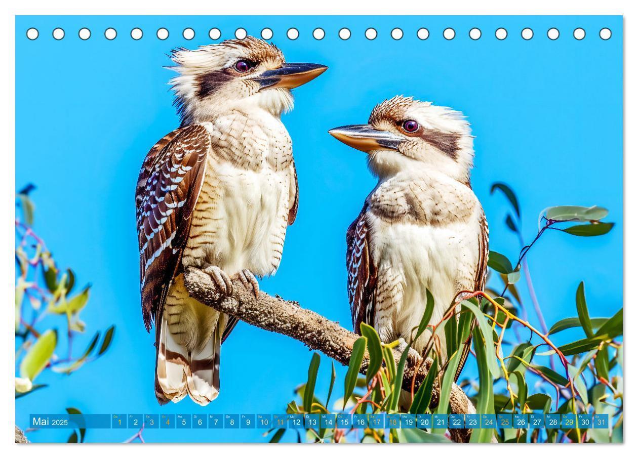 Bild: 9783383777936 | Der Kookaburra - Im australischen Busch mit dem lachenden Hans...