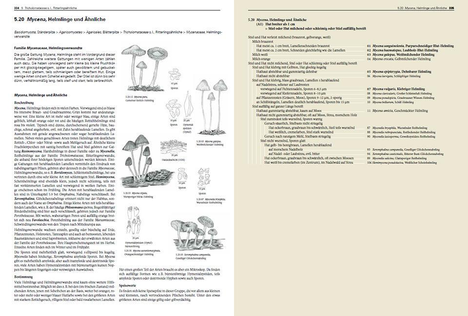 Bild: 9783258083889 | Pilze Mitteleuropas | Rudolf Winkler (u. a.) | Buch | 1056 S. | 2024