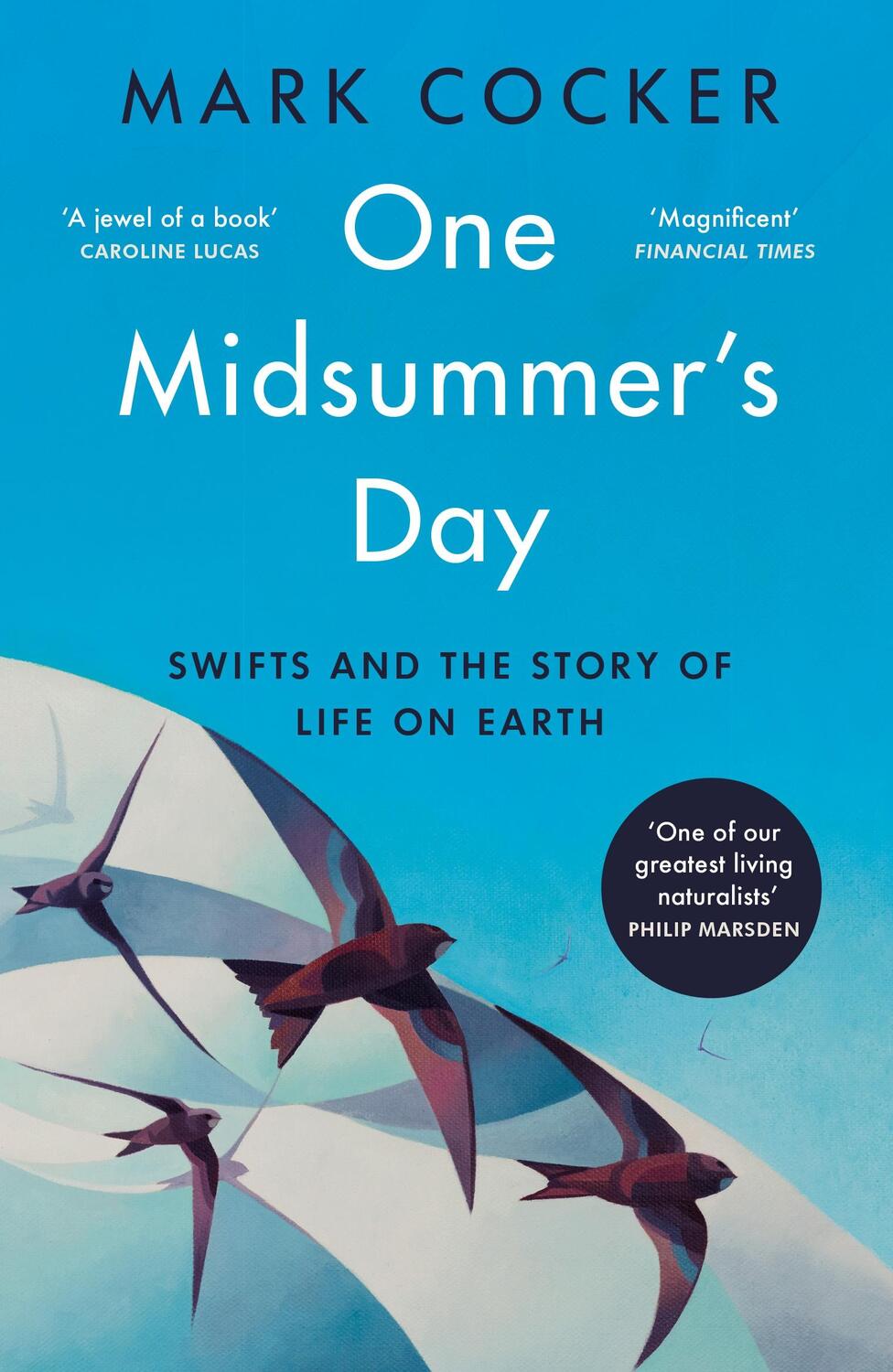 Cover: 9781529921991 | One Midsummer's Day | Swifts and the Story of Life on Earth | Cocker