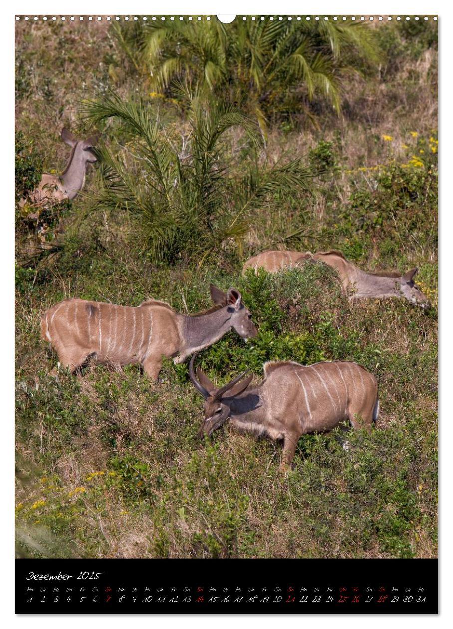 Bild: 9783457067772 | Südafrika - Sehenswerte Panorama Route (Wandkalender 2025 DIN A2...