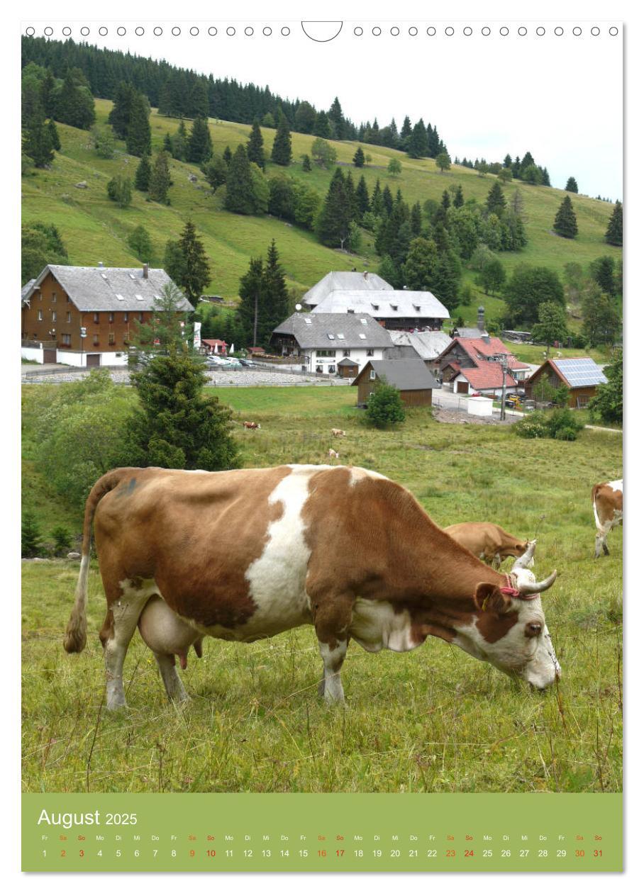 Bild: 9783457027424 | Schwarzwald und Kühe im Hochformat (Wandkalender 2025 DIN A3 hoch),...