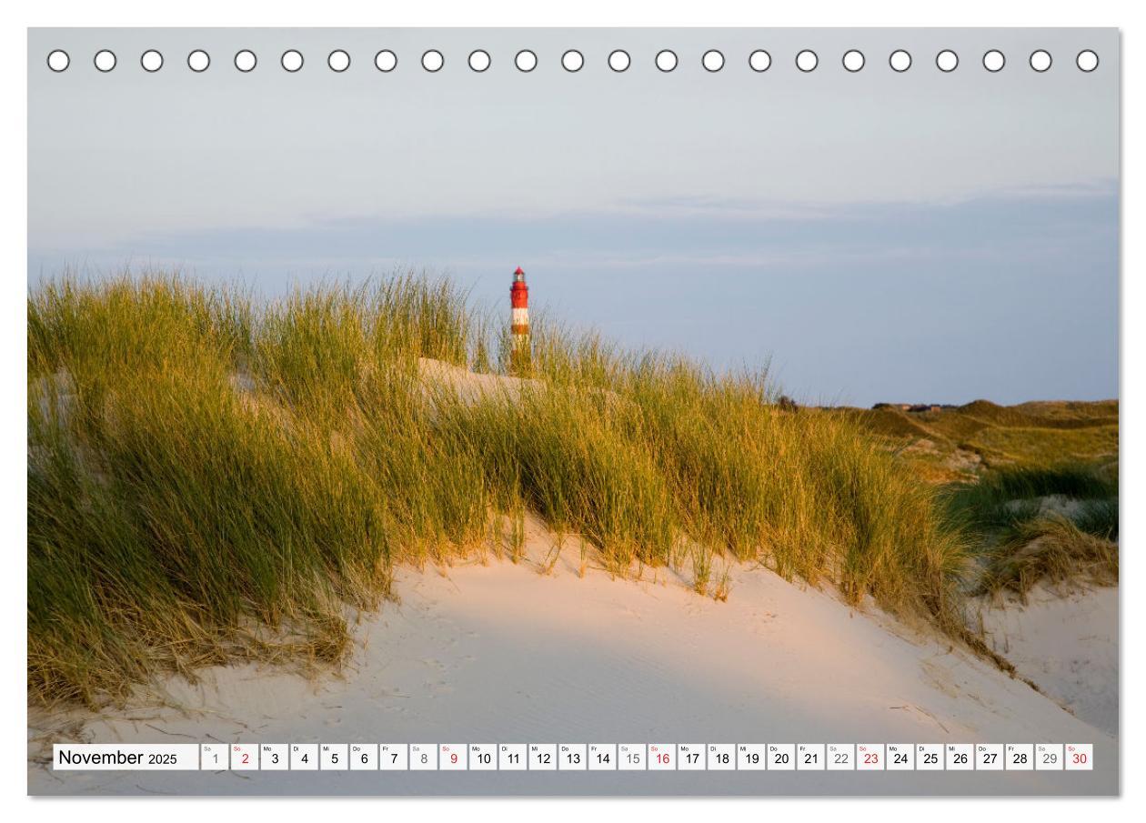 Bild: 9783435618019 | Amrum. Natur und Landschaften (Tischkalender 2025 DIN A5 quer),...