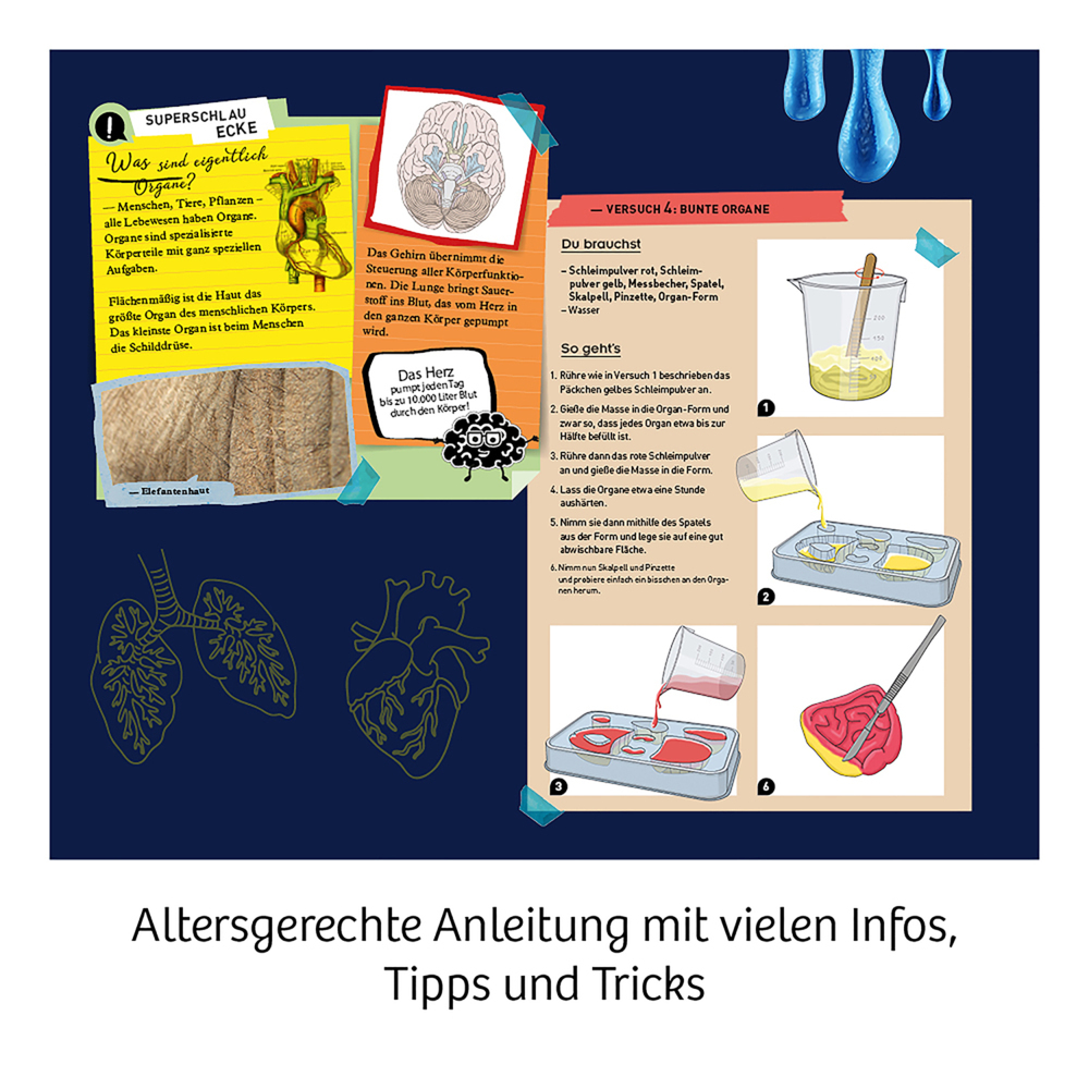 Bild: 4002051654184 | Fun Science Glibber-Organe (Experimentierkasten) | Spiel | 654184