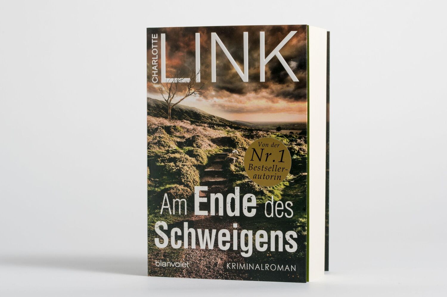 Bild: 9783734111174 | Am Ende des Schweigens | Kriminalroman | Charlotte Link | Taschenbuch