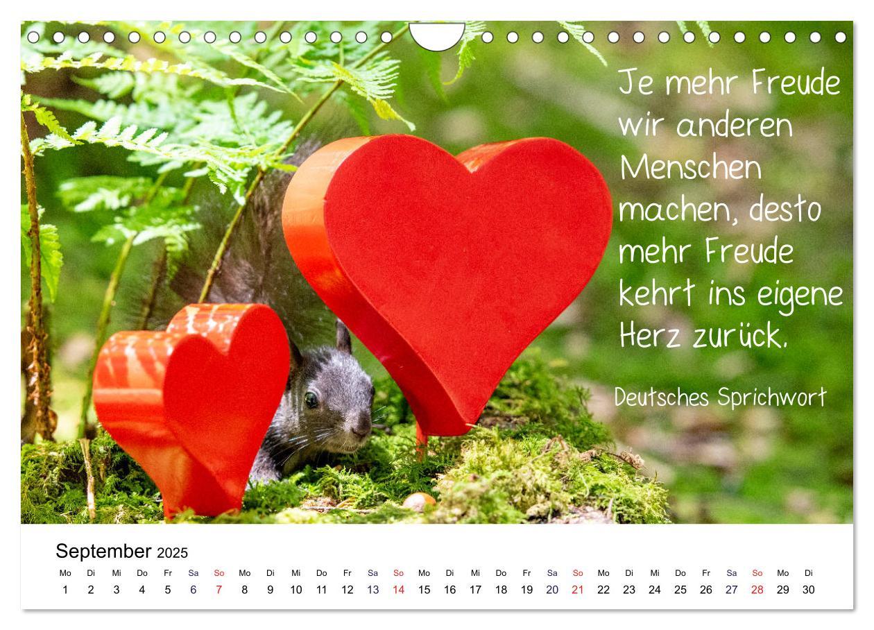 Bild: 9783435434244 | Der literarische Eichhörnchen-Kalender (Wandkalender 2025 DIN A4...