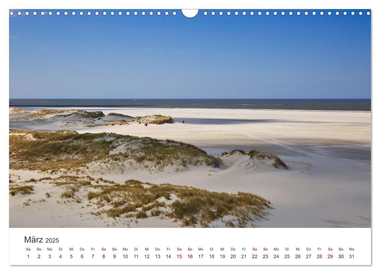 Bild: 9783435016471 | Amrum - Perle der Nordsee (Wandkalender 2025 DIN A3 quer), CALVENDO...