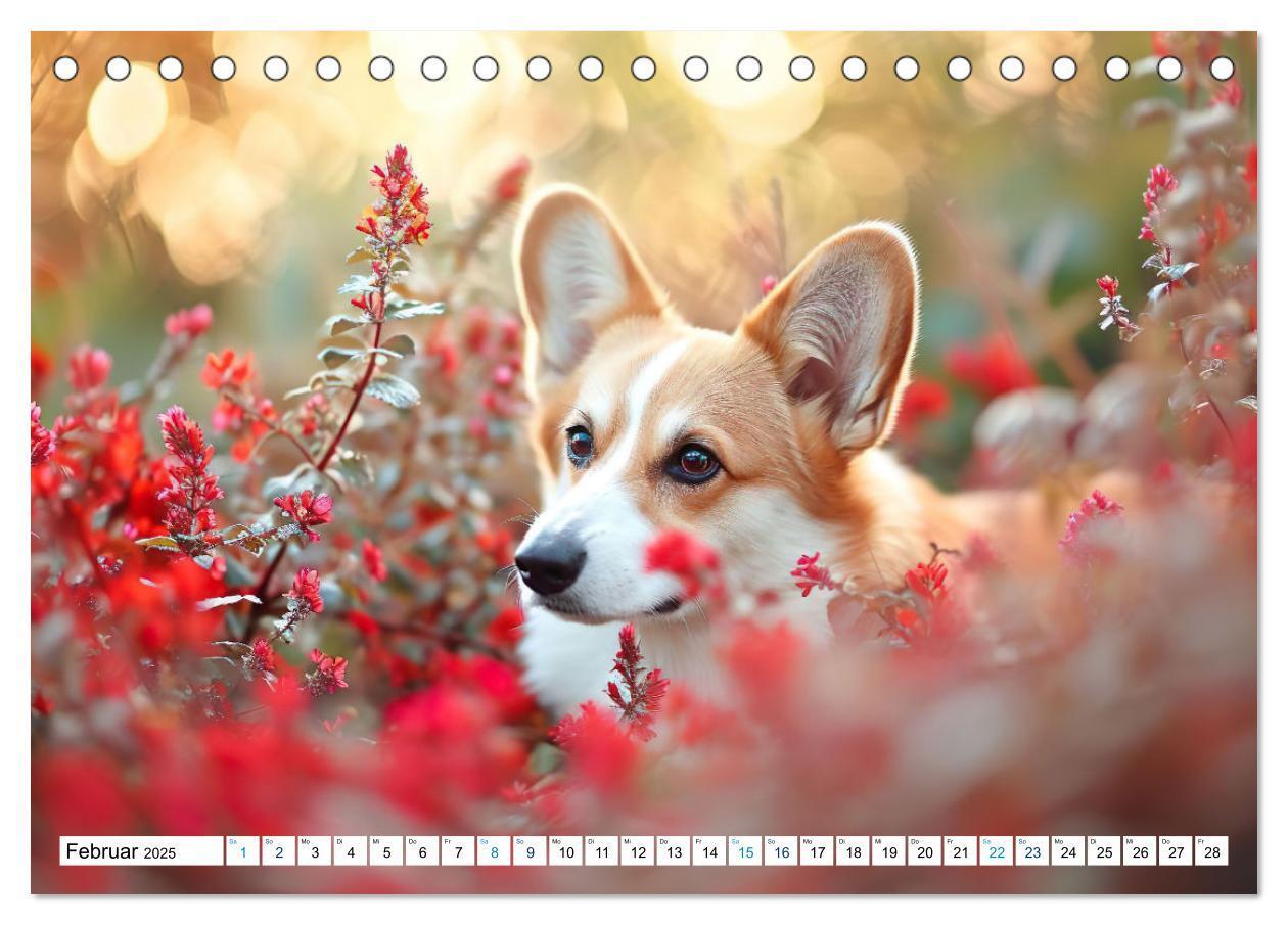 Bild: 9783383776137 | Happy Corgis (Tischkalender 2025 DIN A5 quer), CALVENDO Monatskalender