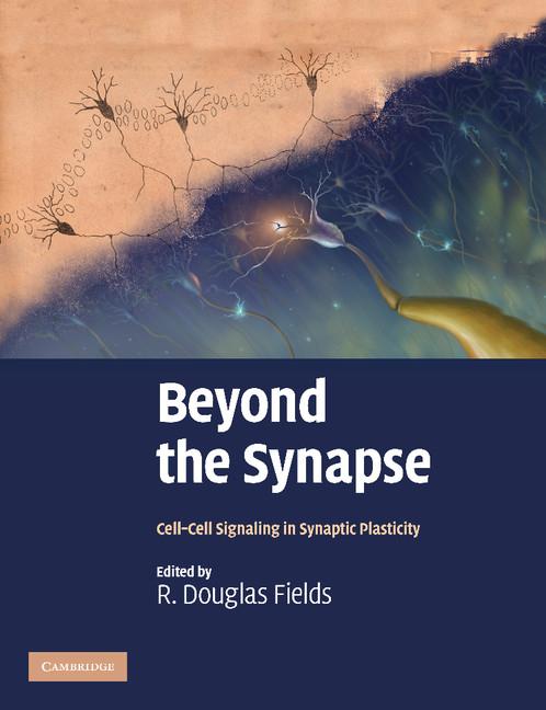 Cover: 9781107411562 | Beyond the Synapse | R. Douglas Fields | Taschenbuch | Englisch | 2012