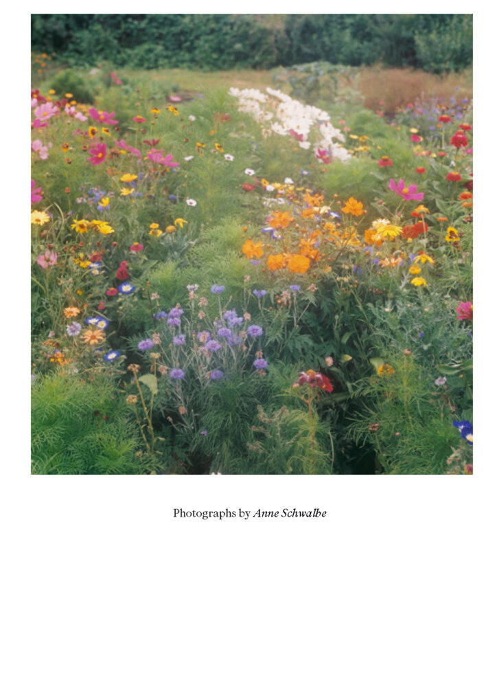 Bild: 9783035626551 | Garden and Metaphor | Essays on the Essence of the Garden | Buch