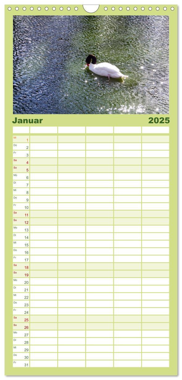 Bild: 9783457122150 | Familienplaner 2025 - Welt der Tiere mit 5 Spalten (Wandkalender,...