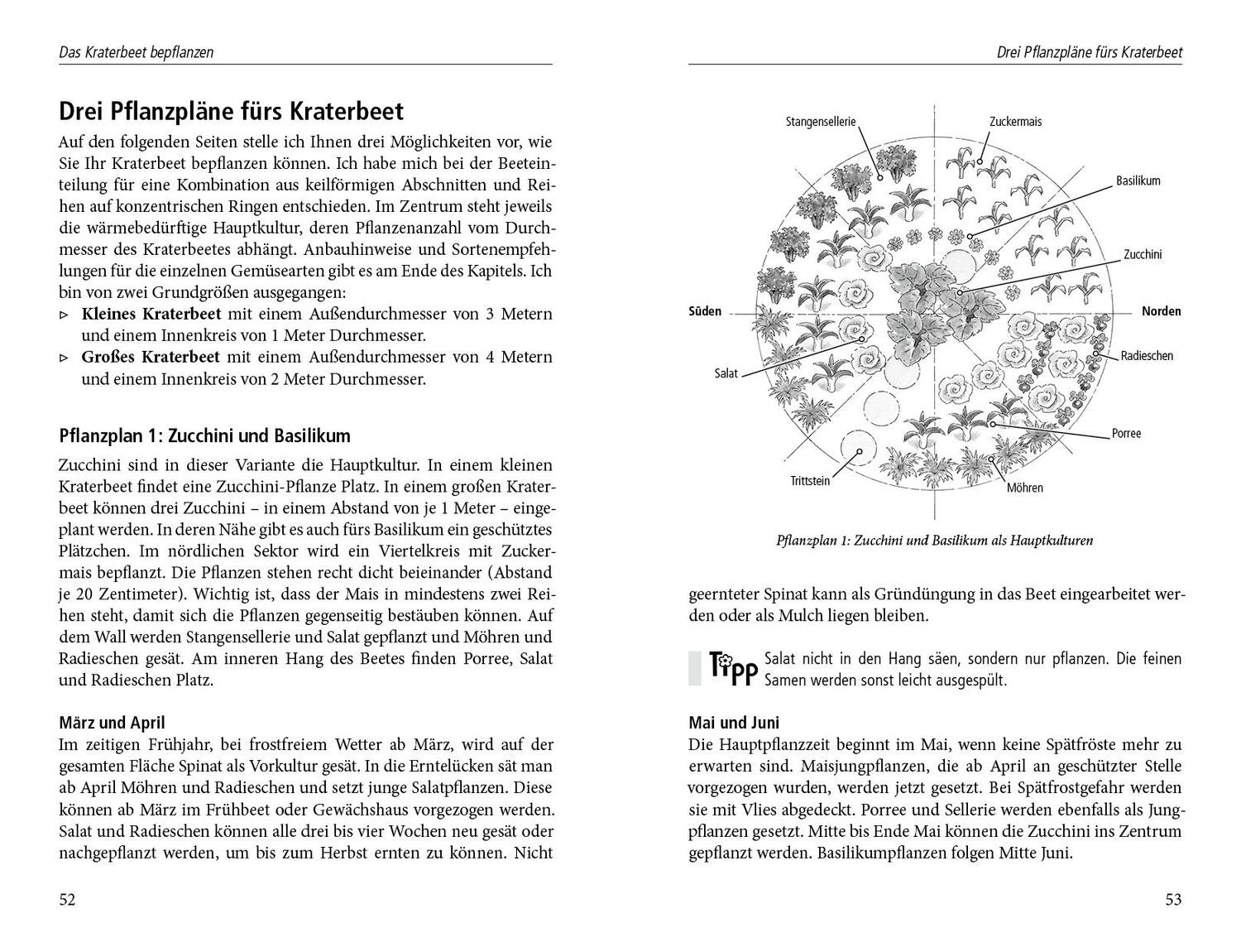 Bild: 9783895663550 | Das Kraterbeet | Natalie Faßmann | Buch | 144 S. | Deutsch | 2016