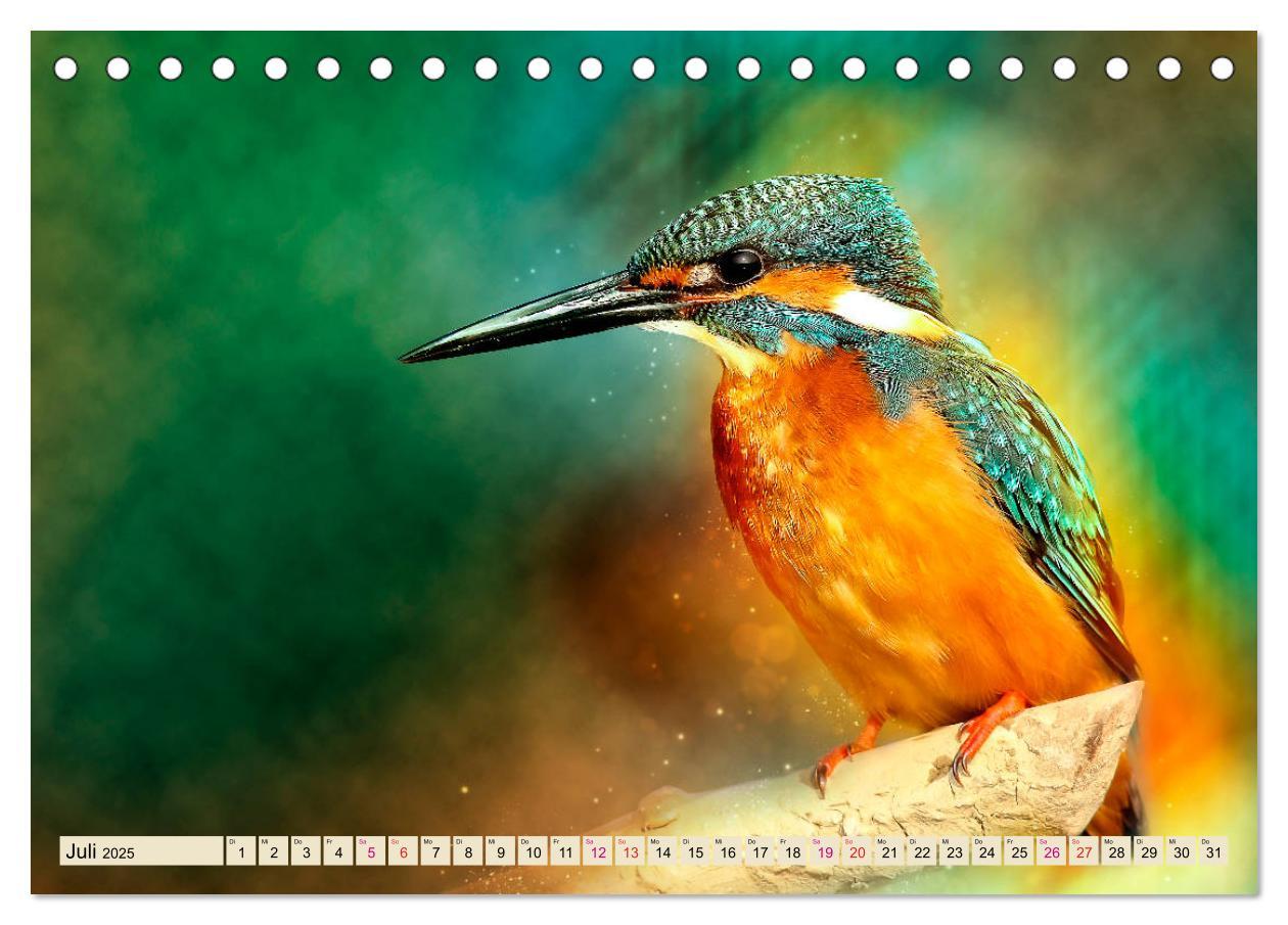 Bild: 9783435332618 | Wunderschöner Eisvogel (Tischkalender 2025 DIN A5 quer), CALVENDO...