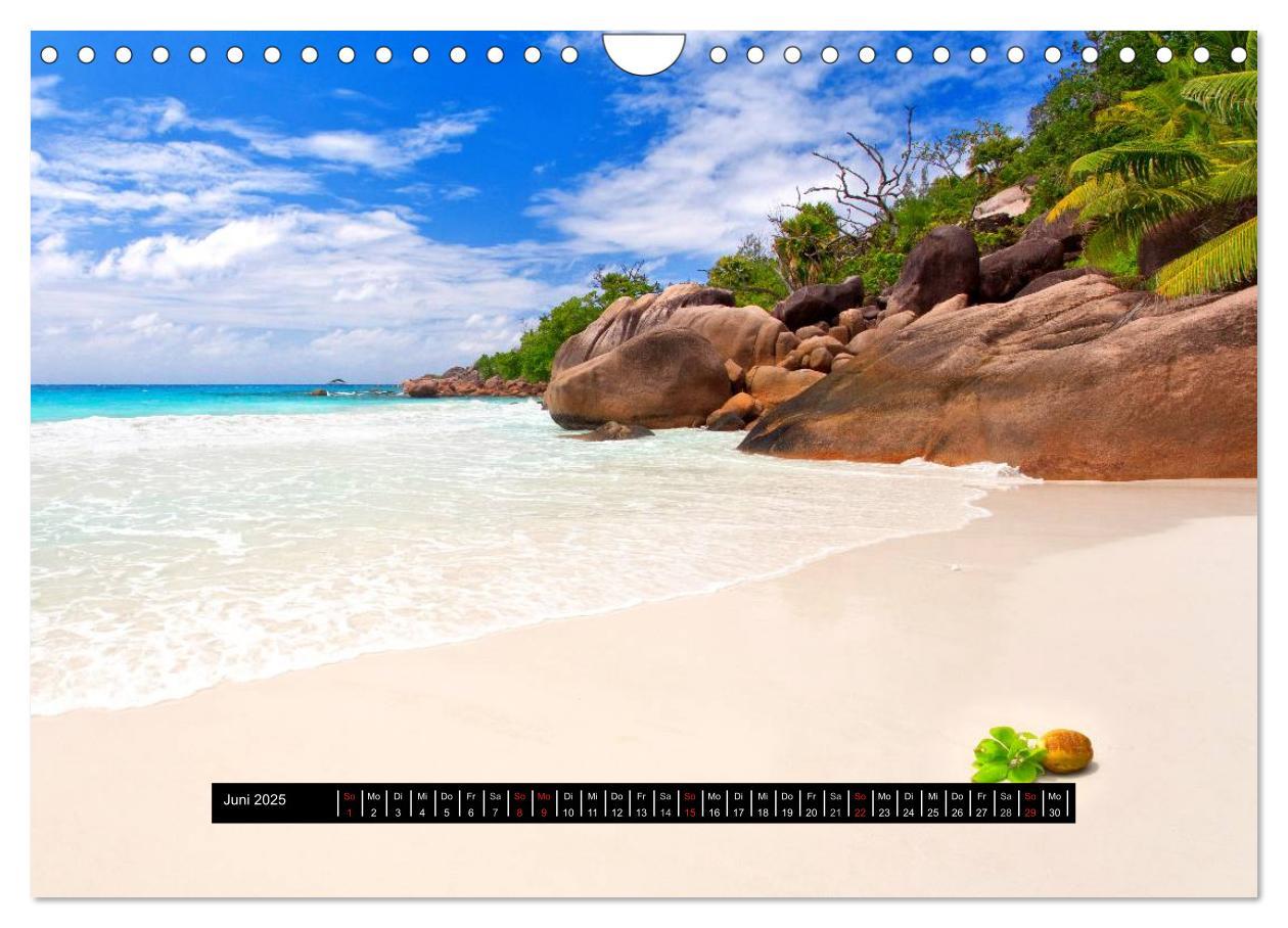 Bild: 9783435804450 | Seychellen (Wandkalender 2025 DIN A4 quer), CALVENDO Monatskalender