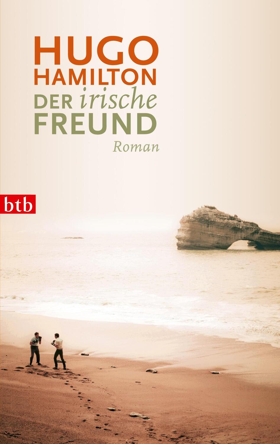 Cover: 9783442739820 | Der irische Freund | Roman | Hugo Hamilton | Taschenbuch | Paperback