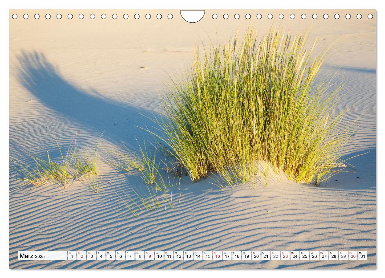 Bild: 9783435618842 | Amrum. Natur und Landschaften (Wandkalender 2025 DIN A4 quer),...